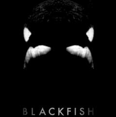 blackfish